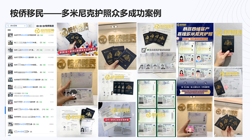 多米尼克成功案例.png